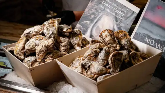 JW Marriott Hotel Shenzhen (Buffet Lunch/Buffet Dinner)