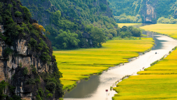 Ninh Binh Day Tour | Vietnam Private Car Charter with Guide | Hoa Chia - Trang An - Hang Mu Itinerary