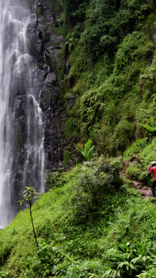 1-day tour to waterfalls at the foot of Mount Kilimanjaro + coffee plantation + wild hot springs in Tanzania