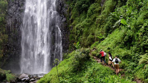 1-day tour to waterfalls at the foot of Mount Kilimanjaro + coffee plantation + wild hot springs in Tanzania