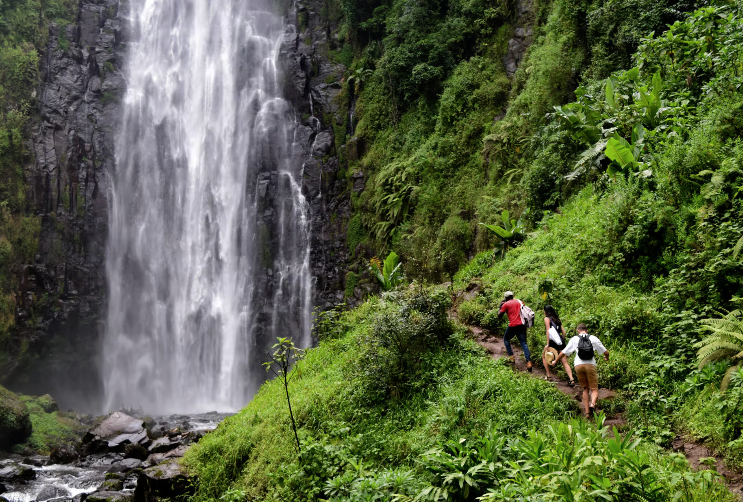 1-day tour to waterfalls at the foot of Mount Kilimanjaro + coffee plantation + wild hot springs in Tanzania