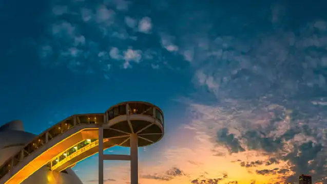 澳門美獅美高梅新濠天地巴黎鐵塔一日包車遊｜埃爾法司機兼嚮導