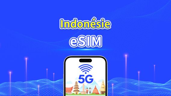 eSIM d'Indonésie | 5G/4G | Forfait de données quotidien/total | 1-30 jours | Facturation par jour naturel | code QR