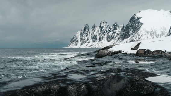 塞尼亞島Senja+索瑪諾伊島8人中文團特羅姆瑟來回一日遊