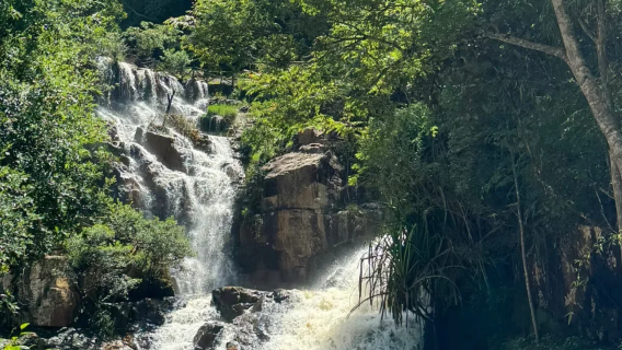 越南大叻一日遊(A線路古典套)達塔拉瀑布+午餐+接駁+導遊