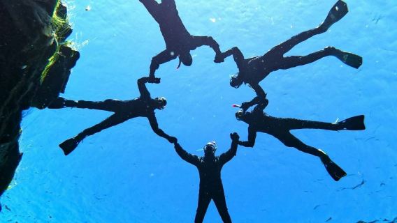 Silfra: Aventura guiada de snorkel desde Reikiavik