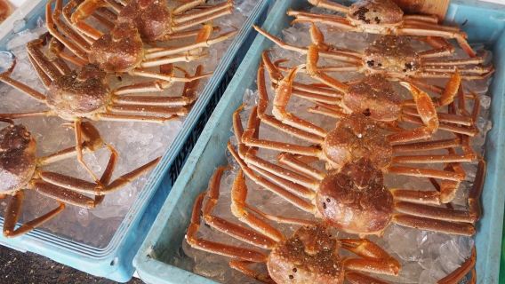 東京発 国営ひたち海浜公園と海鮮市場のプライベート日帰りツアー（写真スポット付き）