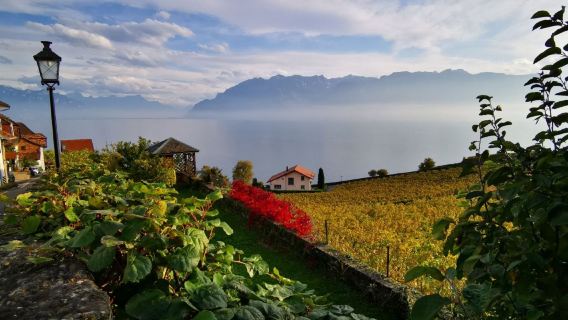 精緻慢生活與田園風光之旅