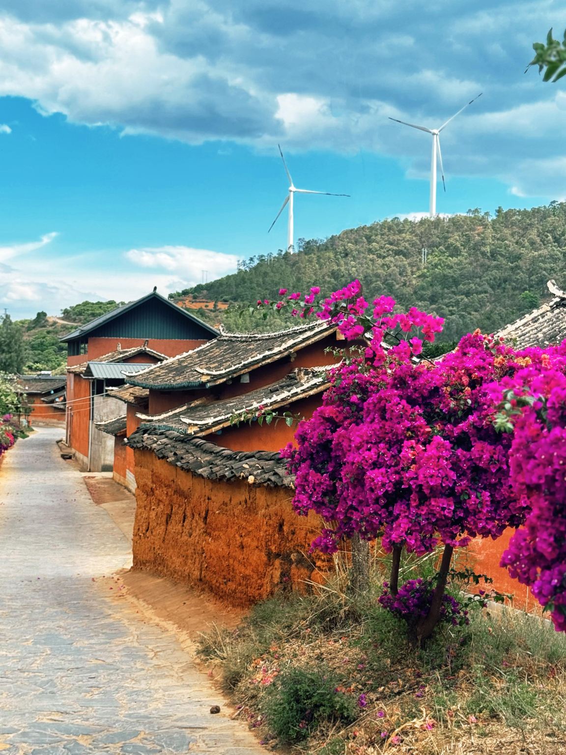 Tour di un giorno con servizio in inglese al Museo della Costruzione della Terza Linea di Panzhihua, Yishala e Tempio di Giada in Sichuan