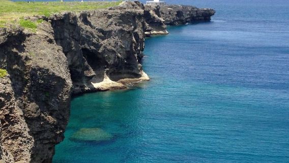 Private Tour to Kouri Island/Okinawa Churaumi Aquarium in Okinawa, Japan (Including Lunch)