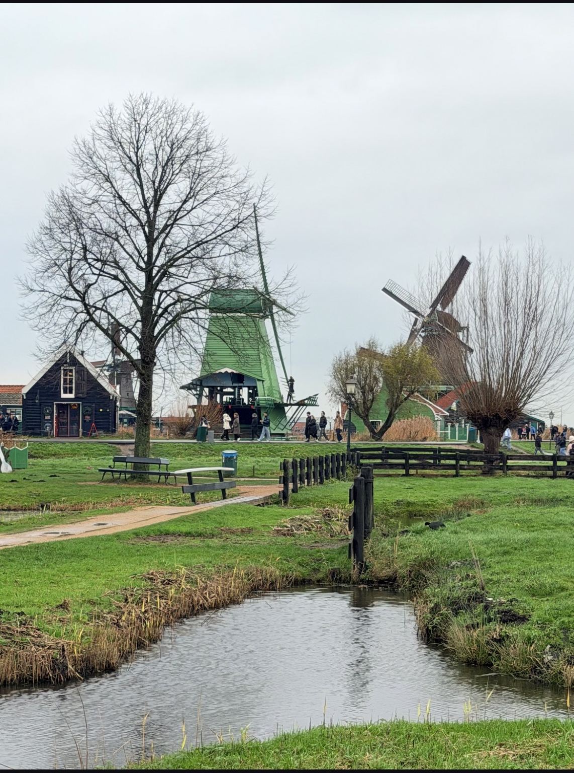 암스테르담 + 잔스 스칸스 풍차마을 + 헤이그 + 델프트 전세 차량 당일 치기 여행