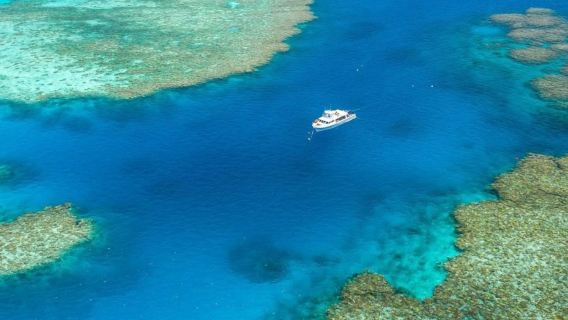 Μεγάλο Κοραλλιογενές Ύφαλο & MOUA: Περιήγηση με Σκάφος + Κατάδυση με Μασκό + Γεύμα