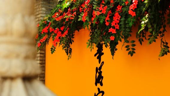 Excursión de un día al Museo de los Guerreros de Terracota y Caballos de Qin Shihuang + Palacio Huaqing + el espectáculo de danza "Eterno Amor"