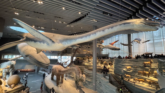 Shanghai luonnonhistoriallinen museo [huippuluokan luennoitsijan 1 tunnin opastus | liput voi ostaa erikseen]