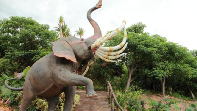 Tur Harian Privat Xishuangbanna: Menyelami Lembah Gajah Liar & Hutan Purba!