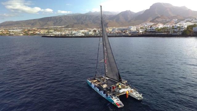 Costa Adeje: Whale & Dolphin Eco-Cruise with Snacks & Drinks