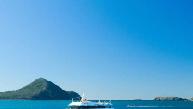 Port Stephens, Australia - Moonshadow Dolphin Cruise Experience: Adult Ticket, Child Ticket, 90-minute Dolphin Watching Cruise, Choose Morning or Afternoon Departure