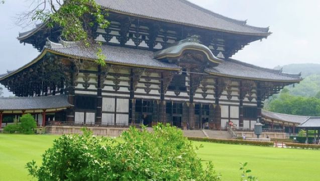 1-day tour of Kyoto and Nara's ancient capitals: Nanzen-ji Temple, Ginkaku-ji, and Tōdai-ji