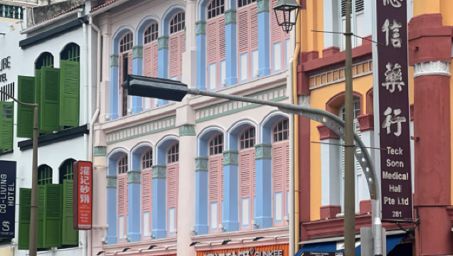 1-day private charter tour in Singapore, Chinatown, Little India and Fort Canning with Chinese guide