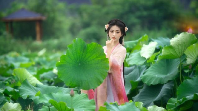 Liuyang trip moments[Photography and shooting services including photos, short videos, promotional videos, children and family-friendly portraits, wedding photos with all raw images provided]