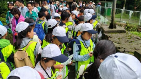 Pembelajaran keluarga di Taman Panda Dujiangyan | Mentor berpengalaman + Sijil penyampaian + Pengalaman seni kraf kertas warisan bukan material