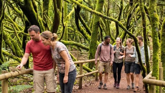 Tour giornaliero a La Gomera da Tenerife con traghetto e pranzo