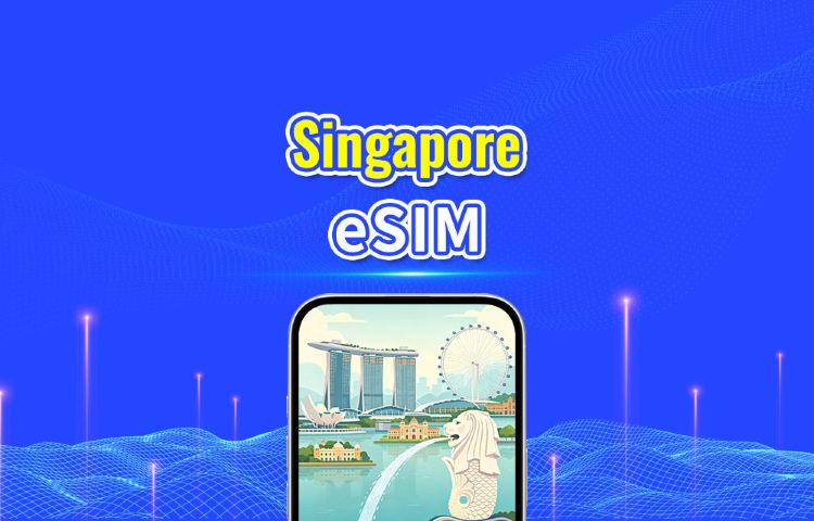 Singapore 4G eSIM | Dual Net | Daily/Total Data Package | 1–30 Days | 24-Hour Billing | QR Code