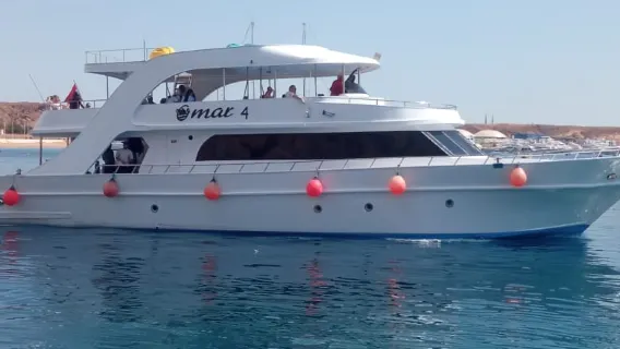 Şarm El-Şeyh: Ras Mohammed'de Şnorkelle Dalma, Dalış ve Beyaz Ada Seyahati