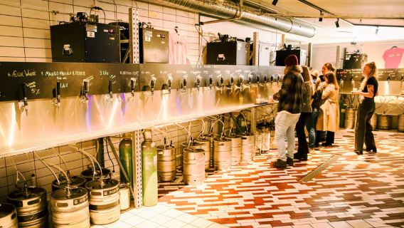 Reykjavik: Food Tour - Eat, Drink & Explore with Locals