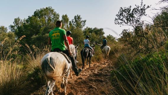 Mallorca: Horseback Riding Experience with Food Options