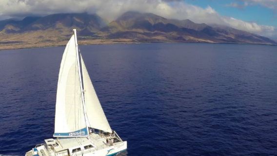 Maui: Dolphin Sailing Adventure with Lunch and Drinks