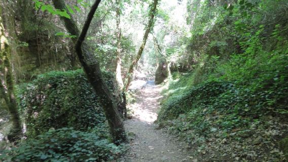 Platanias: Guided Mountain Road Trip with light lunch!