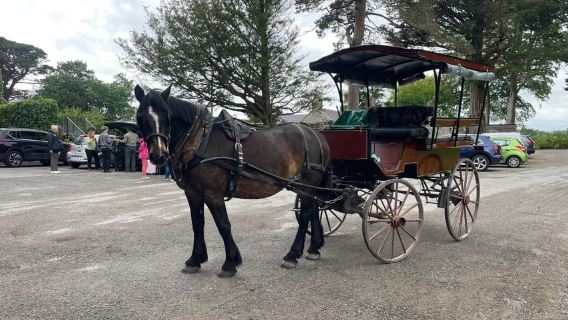 Killarney National Park Jaunting Car Tour