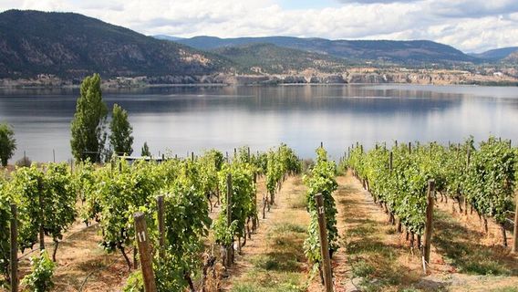 KelownaTours