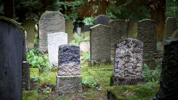 St. AugustineTours