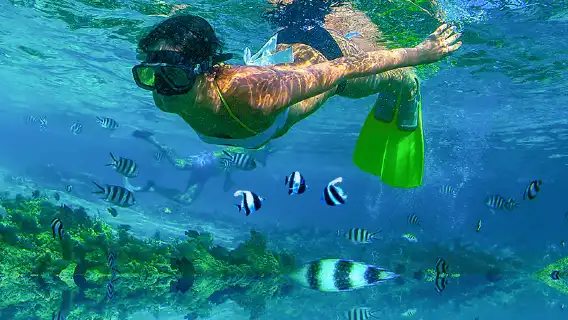 泰國芭達雅+格蘭島一日遊【私人沙灘+空拍+用心服務】