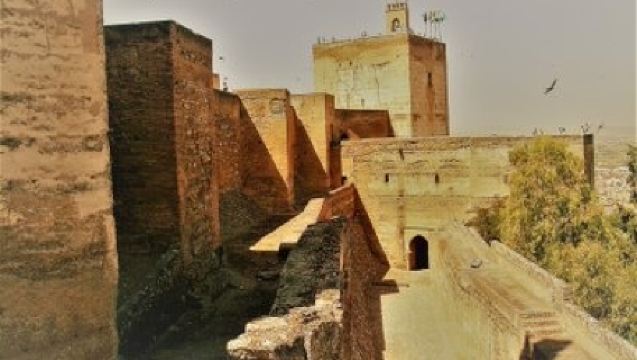 Alhambra Complete Guided Tour + Granada Pass