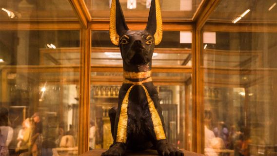 tour 1 ngày Kim tự tháp Kheops Cairo (Khởi hành từ Cairo) 84299