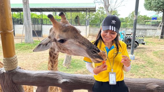 Een eendaagse tour naar de belangrijkste bezienswaardigheden in Ayutthaya: tempels en de dierentuin.
