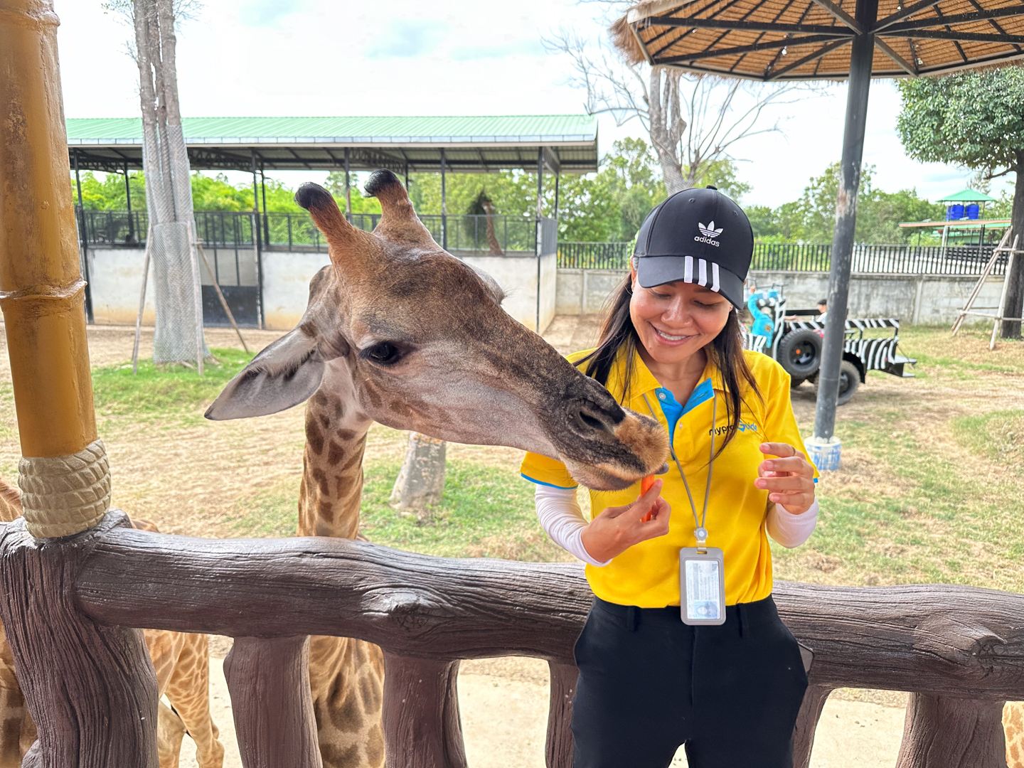 Phra Nakhon Si Ayutthaya Must-Visit Attractions Day Tour: Temples & Zoo