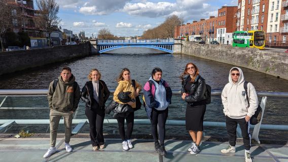 The Bridges of Dublin