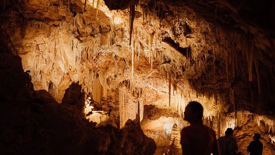 BusseltonTours