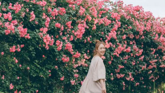 武威Tripメモリー【ドライバー兼ガイド兼Tripメモリー+ドローン空撮ミニムービー+メイク・衣装+旅程カスタマイズ+未編集写真全データ提供+人数無制限】