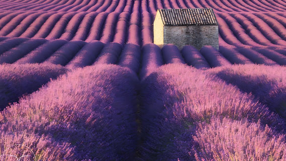 馬賽