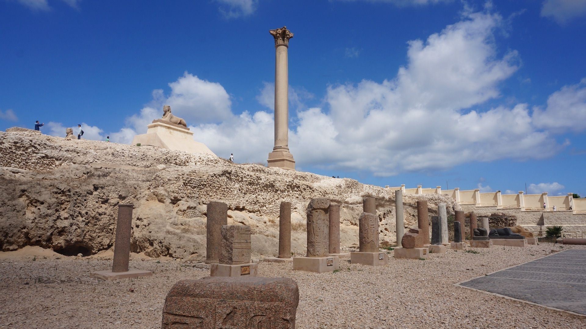 Alexandria, Egypt One-Day Tour to Serapeum of Alexandria/Citadel of Qaitbay with Private Charter + Chinese-English Guide Service