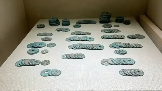 杭州博物館+2小時獨立包團人文講師解說服務(含預約入場門票)一日遊