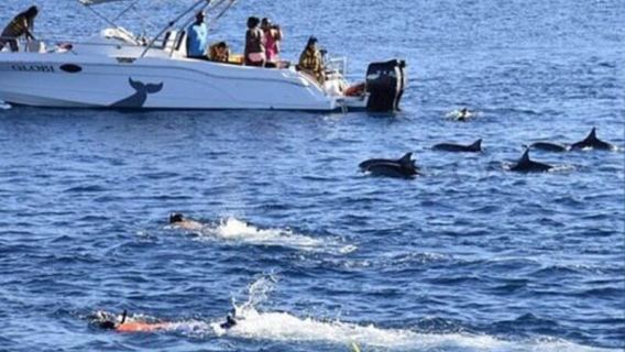 HurghadaExperiences