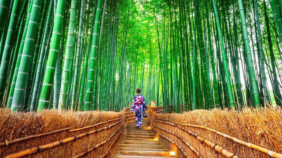 【京都網紅美景打卡】勝尾寺+美山茅葺屋集落+嵐山一日遊