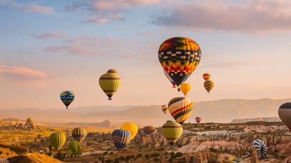 AlanyaTravel Services