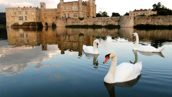 ทัวร์วันเดียว/ทัวร์หลายวัน ปราสาทลีดส์ + แคนเทอร์เบอรี + โดเวอร์ + กรีนิช|รวม ตั๋วเข้าชม+ล่องเรือ